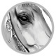Drawing style animal portrait, an elegant horse photo frame