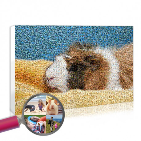 Mosaic pet portrait, a family portrait with animals