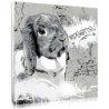 Street art pet portrait for an urban decoration