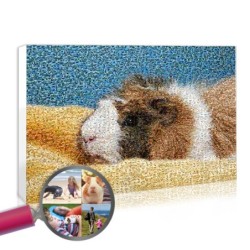 Mosaïque personnalisée animal, un portrait de famille avec animaux