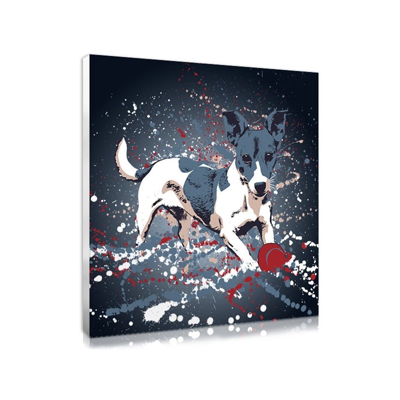 Portrait de votre chien style splash : un cadeau original