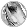 Drawing style animal portrait created by a professional