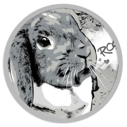 A street art pet portrait for a unique decoration