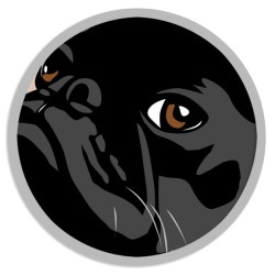 Cadre personnalisé de vos animaux version illustration
