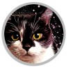 Let yourself be seduced by a painted animal portrait