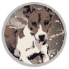 Give her an original gift with the portrait of his dog in Splash style