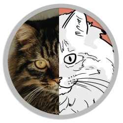 Photo d'animal personnalisé, un cadeau souvenir émouvant