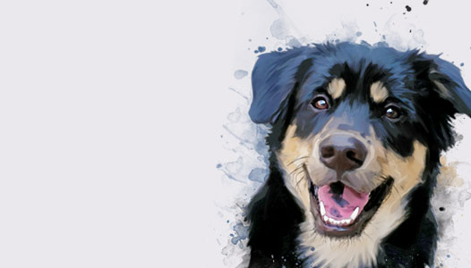 Portrait animal peinture