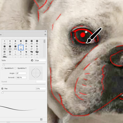 Dessin de la photo dans le style de portrait animaux choisi