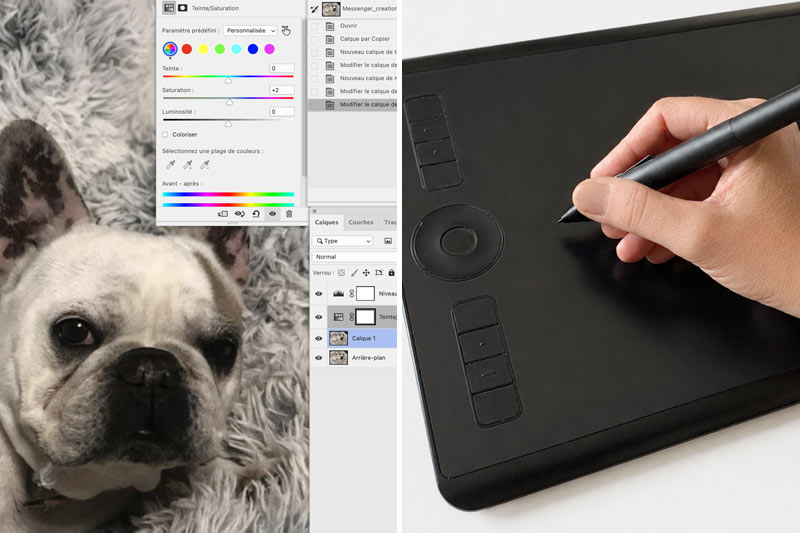 Portrait animaux créés avec un logiciel professionnel et une tablette graphique