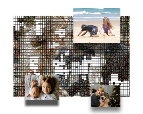 Assemblage de la mosaïque brute par un logiciel
