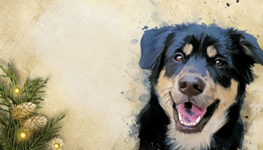 Portrait animal peinture