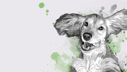 Tableau dessin de chien à partir d'une photo