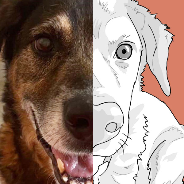 Before and after creation of a personalised animal portrait