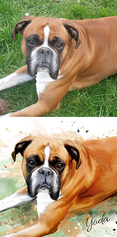 Watercolor portrait of a dog created from your photo