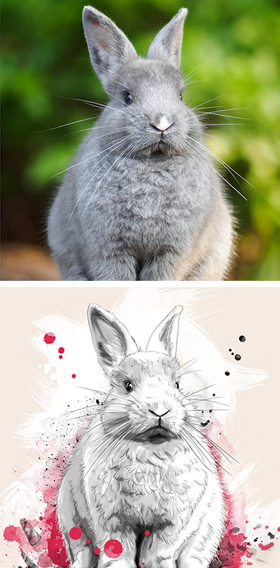 Exemple Photo avant et création style dessin d'un animal