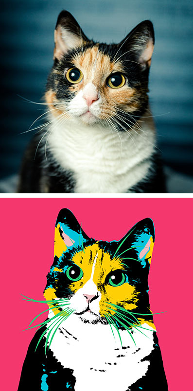 Example of a pet portrait in pop art created from a picture
