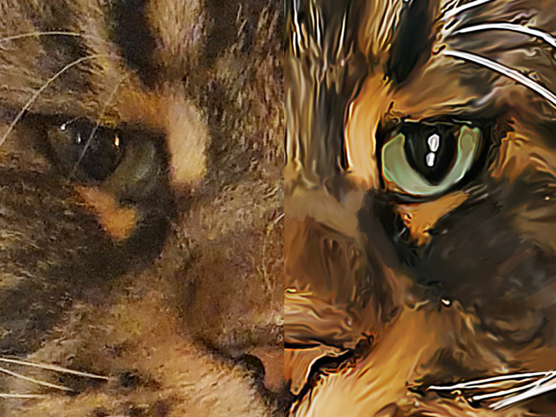 L'art du dessin à la palette graphique : capturer le regard de votre animal
